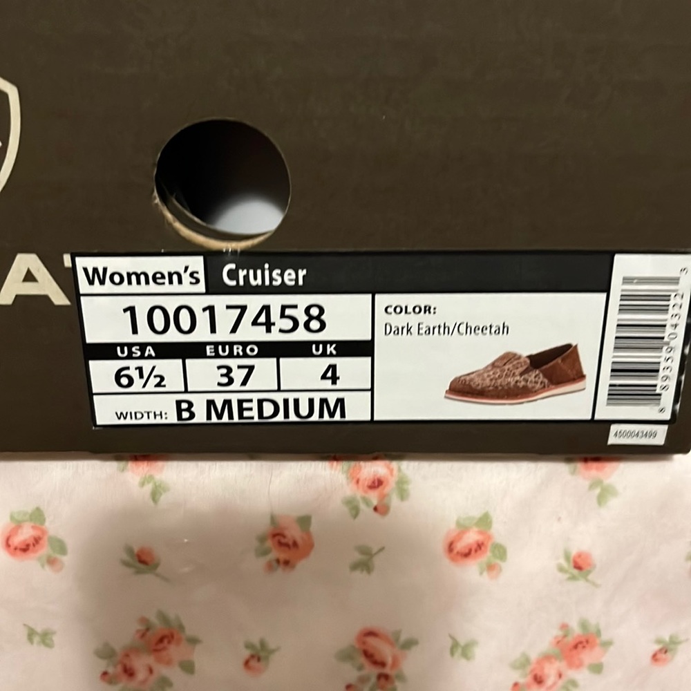 Ariat cruiser